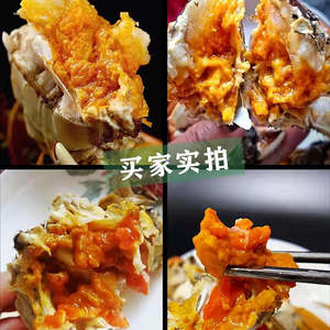 Special Of The Week: Mitten Crab