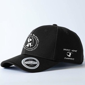 Driving Home Champions Cap