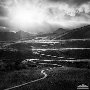Castle Hill - Black & White Sunlit Path