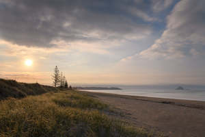 Ohope Beach - Evening Light