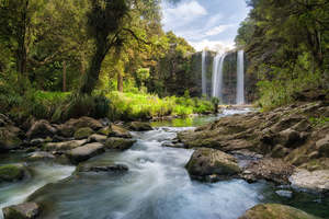 Northland: Whangarei - Waterfall