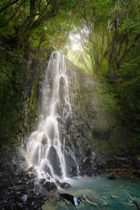 Waterfalls: Catlins - Horseshoe Falls | Gift Print