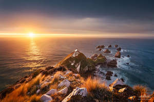 All: Catlins - Nugget Point Lighthouse | Gift Print