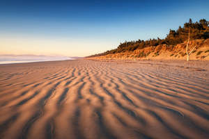 Waikuku Beach - Sunkissed Morning | Gift Print