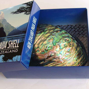Products: A Polished NZ Paua Shell