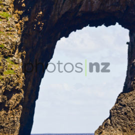 New Zealand Photos: Aerial Marsden Cove Marina and One Tree Point