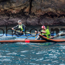 Kicker the Kiwi Checkup: Kicker having his radio tracking transmitter changed