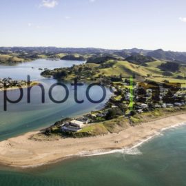 Marine: Colourful salp at Poor Knights