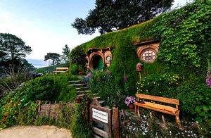 Products: 와이토모 & 호빗마을 일일여행 오클랜드 출발/도착 – Dn45-g