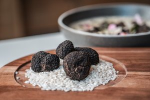 50g Black Truffle (Tuber Melanosporum) - Truffle Co-operative