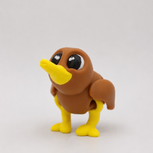 Kiwi Bird
