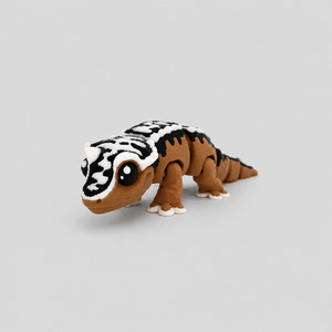Gecko