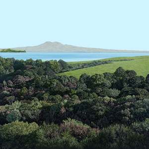 Evergreen | Rangitoto