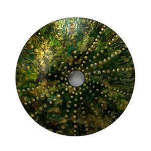 Sally Fagence: Elegance Kina | Glass Disc