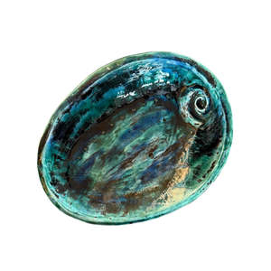 Ceramic Paua Shell | Large