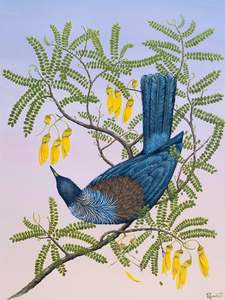 Tui At First Light | Print