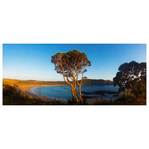 NZ Landscape Photography | Matai Bay