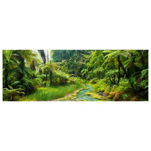 NZ Landscape Photography | Divine