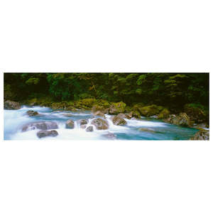 Prints And Photographic Prints: NZ Landscape Photography | Hollyford Treasure