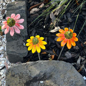 Outdoor Living: Ceramic Echinacea | Single Flower