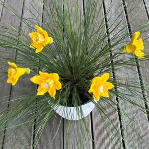 Outdoor Living: Ceramic Daffodils | Box Of 5