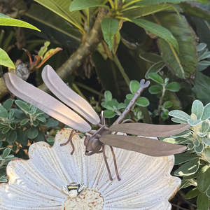 Copper Dragonfly
