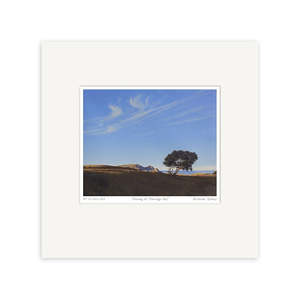 Art Prints: Evening At Tauranga Bay