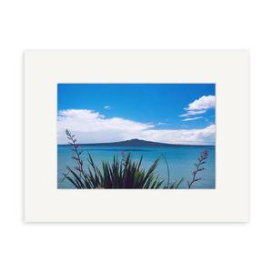 Contemporary Photographic Prints: Rangitoto Island With Harakeke