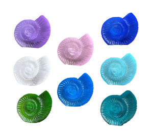 Glass Or Resin Sculptures: Cast Glass Ammonites
