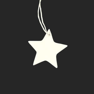 Christmas: Porcelain Star