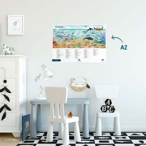 Teachers Gifts: Te Reo Posters - A3 and A2