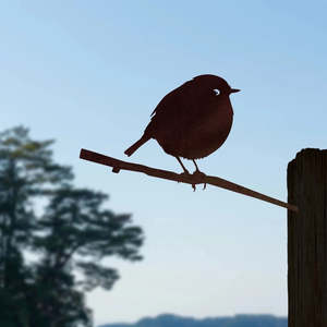 Pet Lovers Gifts: Black Robin Metalbird