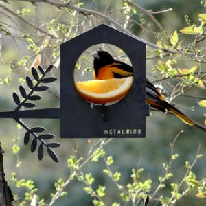 Pet Lovers Gifts: Bird Feeder