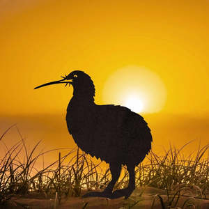 Pet Lovers Gifts: Brown Kiwi Metalbird