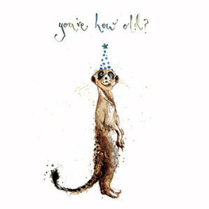 Greeting Cards And Wrapping Paper: Card How Old?