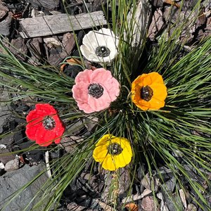 Outdoor Sculptures: Ceramic Poppies Colourful Mix | Box Of 5