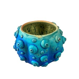 Sputnik Sea Urchin Bowl