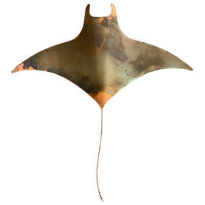Daniel Wright: Copper Manta Ray | XL