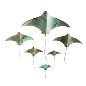 Daniel Wright: Individual Copper Stingrays