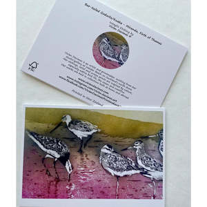 Vivien Davimes: Bar-tailed Godwits Pink Card
