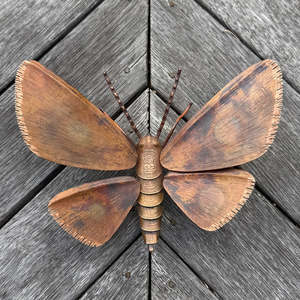 Copper Kawakawa Looper Moth | Notched Wings