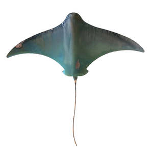 New: Copper Stingray | XXL | Dusky Green Patina