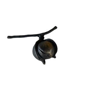 Jay Lloyd: Macadamia Nut | Cast Bronze