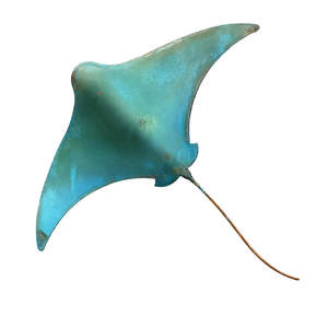 Copper Stingray | Sea Green | XL