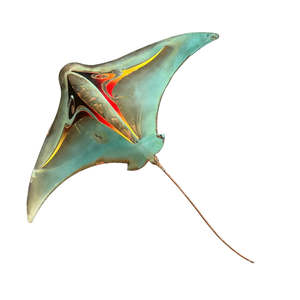 Pacific Ray | Firebird | XL Stingray