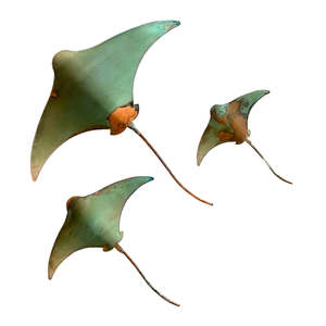 Copper Stingrays | Set Of 3 | Green Daze