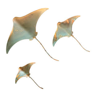 Sculptors: Copper Stingrays | Set Of 3 | Sea Spray