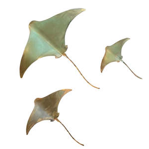 Copper Stingrays | Set Of 3 | Camo
