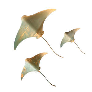 Copper Stingrays | Set Of 3 | Estuary