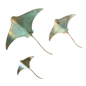 Copper Stingrays | Set Of 3 | Ocean
